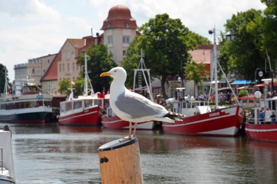 Warnemünde Welcome ABoard
