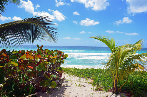 exotischer Strand Impfungen Welcome Aboard