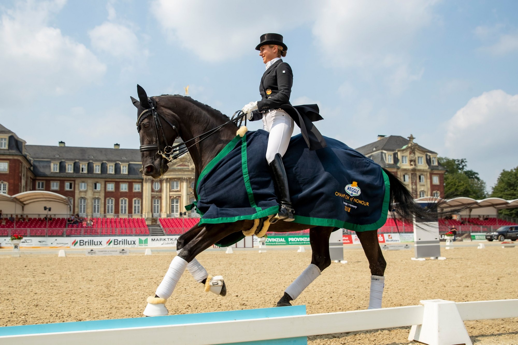 MEGGLE Champion of Honour